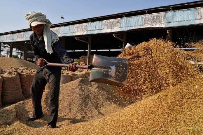 ਭਾਰਤ ਦੇ ਚਾਵਲ ਸਟਾਕ ਰਿਕਾਰਡ ਉੱਚਾਈ ‘ਤੇ, ਕਣਕ ਦੇ ਭੰਡਾਰ ਵੀ ਮਜ਼ਬੂਤ